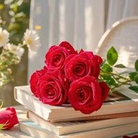 samreensajid123