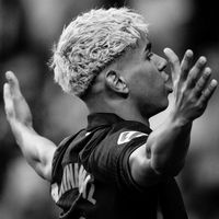 yns.fcb