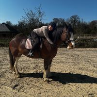 jennychoudhury980