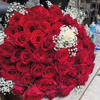 vivaiodelsud__