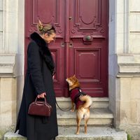 vaiko_shiba_inu