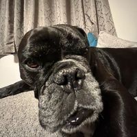 neliodef
