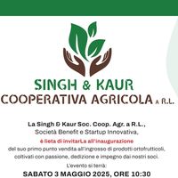 singhkaurcooperativa