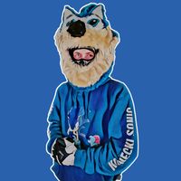 konecki_sonic
