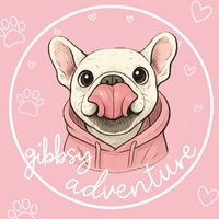 gibbsy.adventure
