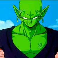 namek0.0