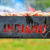 indianul7