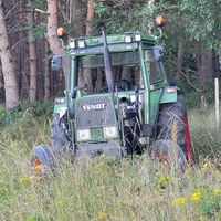 raphfendt48