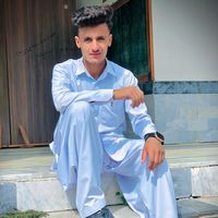mr_cat077