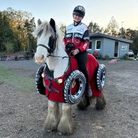 c0wpony_4life