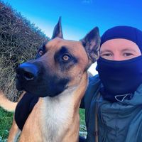 reggietheherder