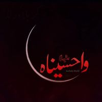 shahsyed1