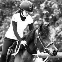 alc.rider