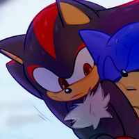 shadow.sonic.prim