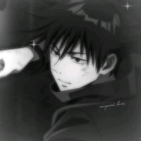 megs._fushi
