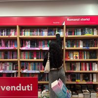 bookcicci
