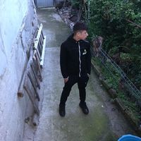 ianisdogaru8