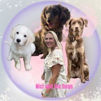 niciandthedogs_official