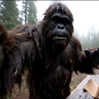 bigfoot_shops