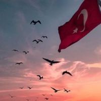yani25443