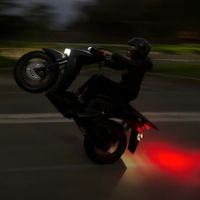 zii_denny