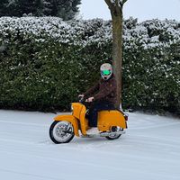 henrys_schwalber