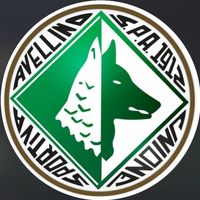 usavellino1912_official