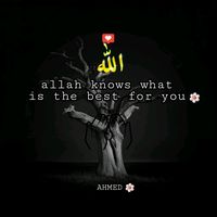ashraf10681