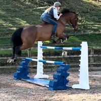 georgia_collinson19