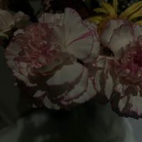 aleyna.09s
