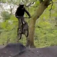 mtb.marley.364