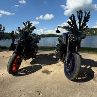 full__mt