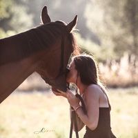 equi_nono