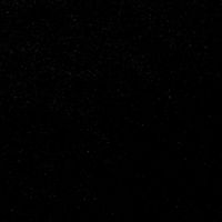 darius._284