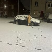 koly.uk