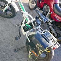 t.p_cn12