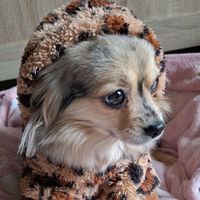 mimimoly28