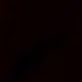 user150477550