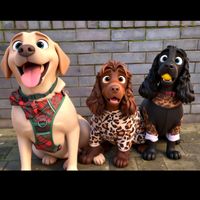 ck_cocker_spaniel