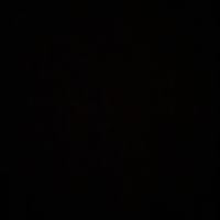 nonusopiuquestaccount