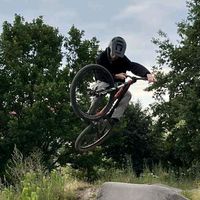 nikoz.dirt