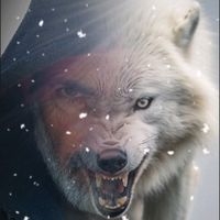 akisshepherd