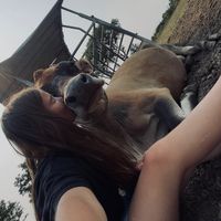 lilyrosechrd