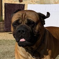 hugolino360