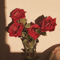 valentinegirl___