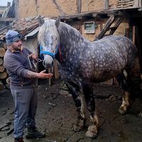 georgimarinov751