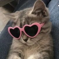 cat.mum18
