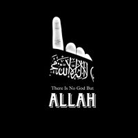 malik_wr317