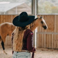 gaellebarrelhorses