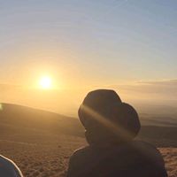 szdan_official